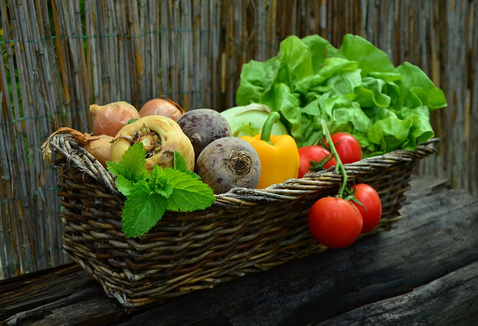ПРОГНОЗ: У 2019 Україна збільшить врожай овочів